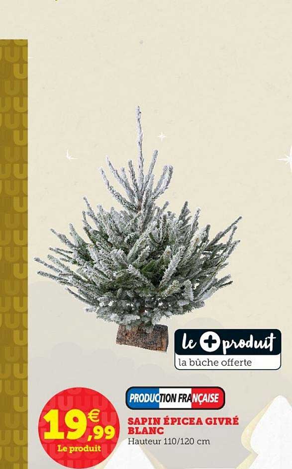 sapin épicéa givré blanc