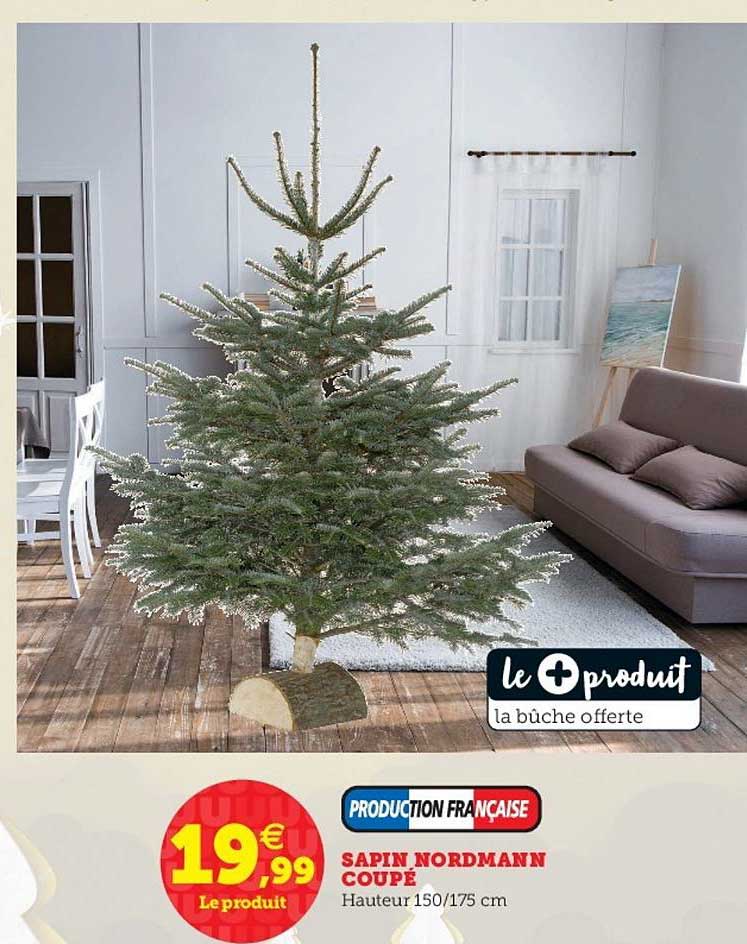 sapin nordmann coupé