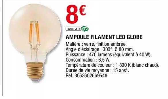 Ampoule Filament Led Globe