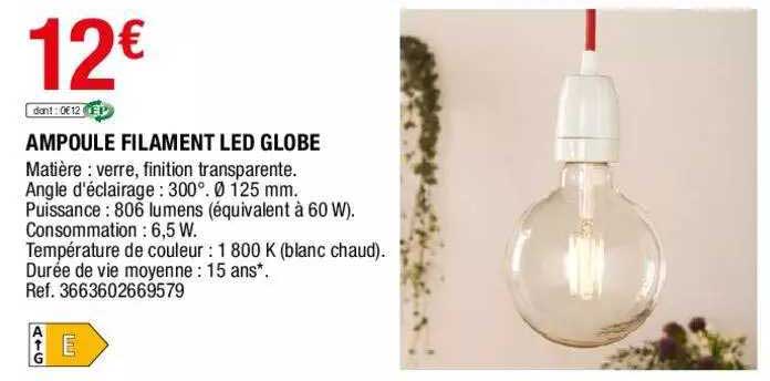 ampoule filament led globe