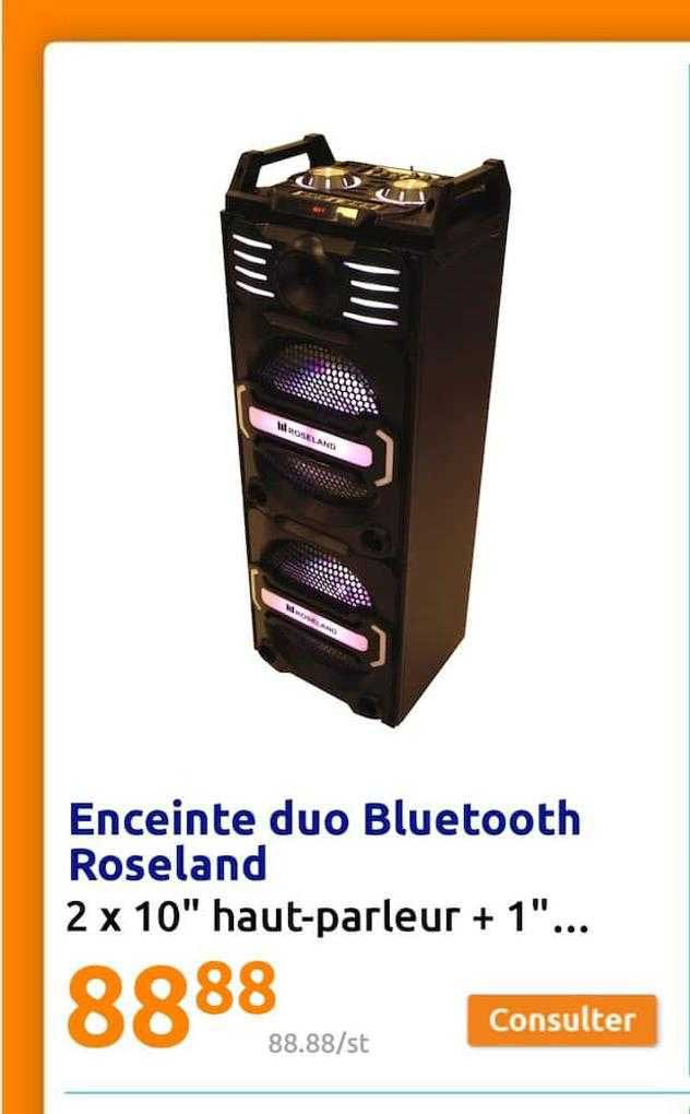 enceinte duo bluetooth roseland