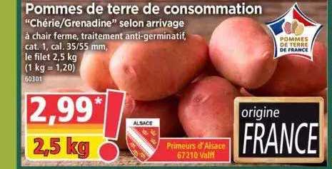 pommes de terre de consommation "chérie-grenadine" selon arrivage
