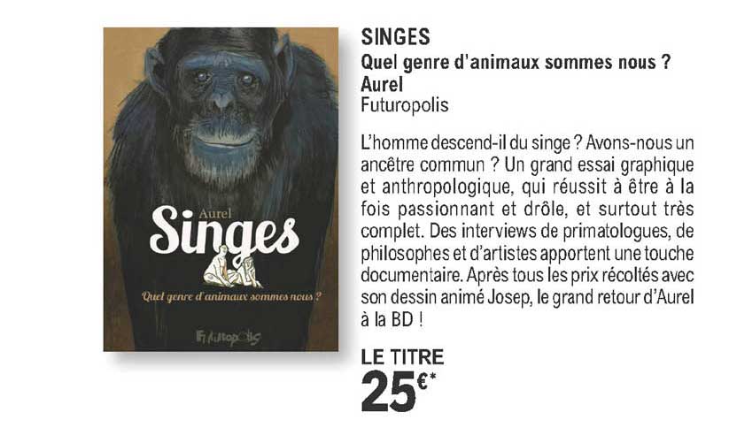 singes - quel genre d'animaux sommes nous ? aurel