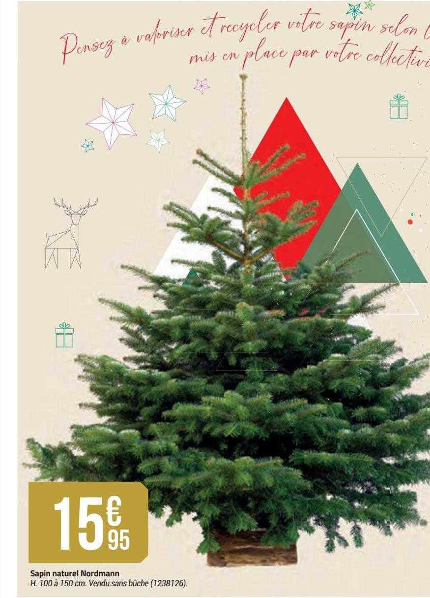 sapin naturel nordmann