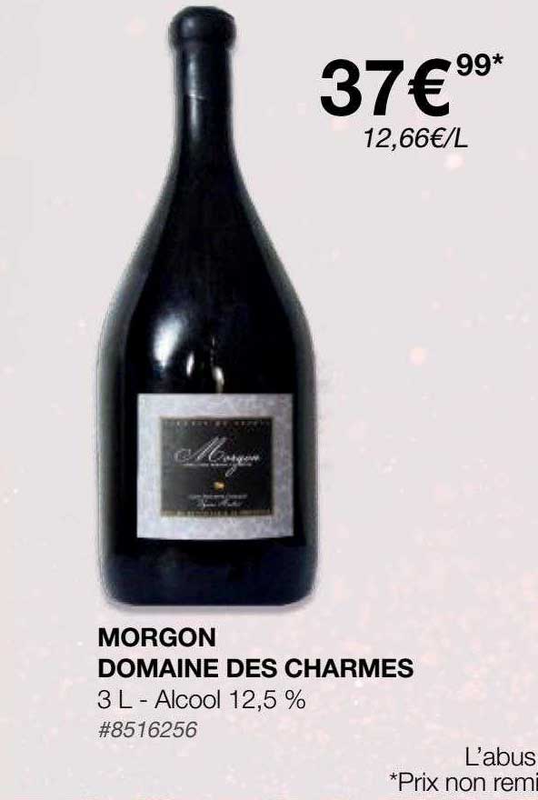 Morgon Domaine Des Charmes