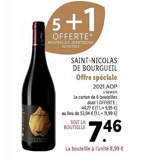 Saint-Nicolas de bourgueil 2021 aop