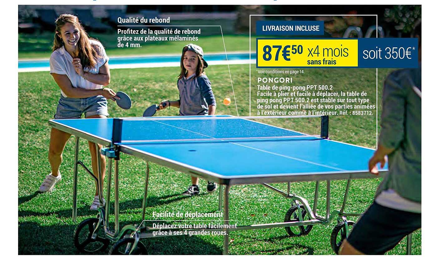 table de ping-pong ppt 500.2 pongori