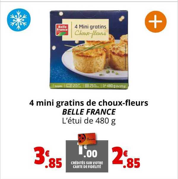 4 mini gratins de choux-fleurs belle france