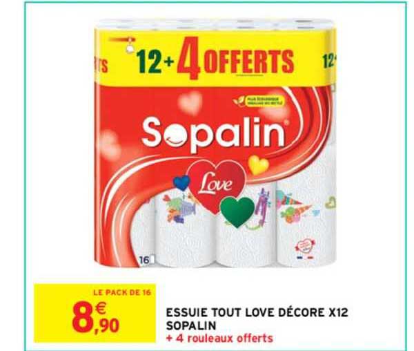 essuie-tout love décore x12 sopalin
