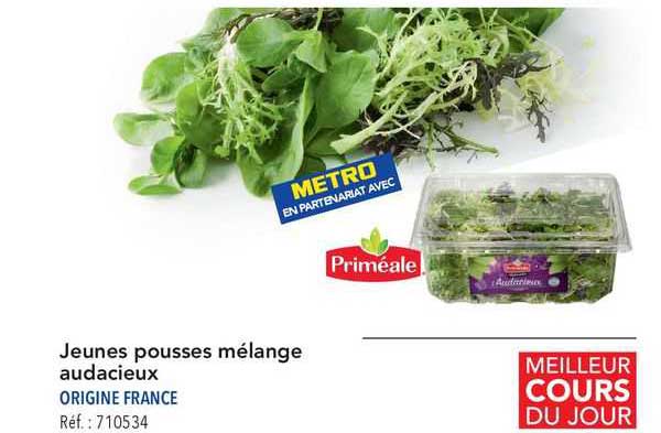 jeunes pousses mélange audacieux priméale