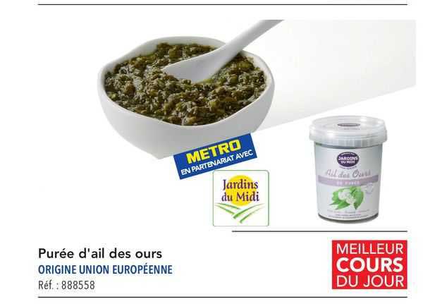 purée d'ail des ours jardins du midi