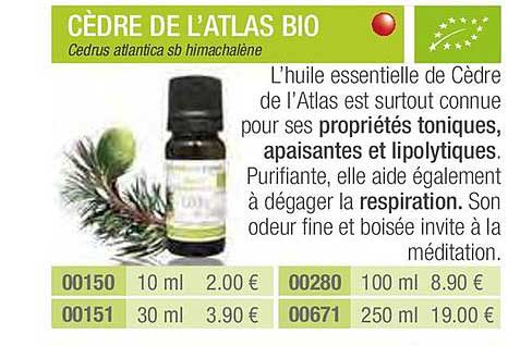 cèdre de l'atlas bio