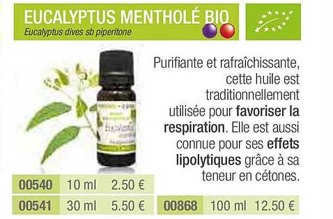 eucalyptus mentholé bio