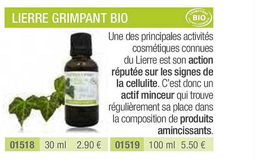 lierre grimpant bio