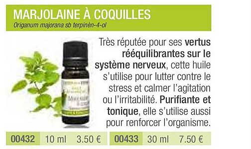 Marjolaine à Coquilles