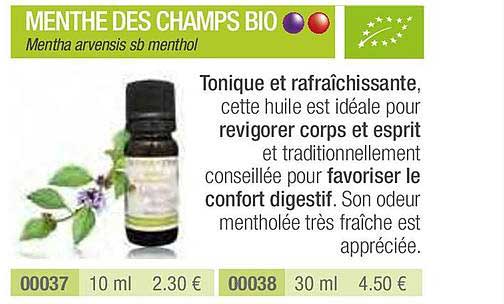 menthe des champs bio