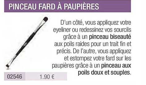 pinceau fard à paupières
