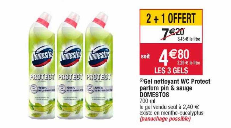 Gel Nettoyant Wc Protect Parfum Pin & Sauge Domestos