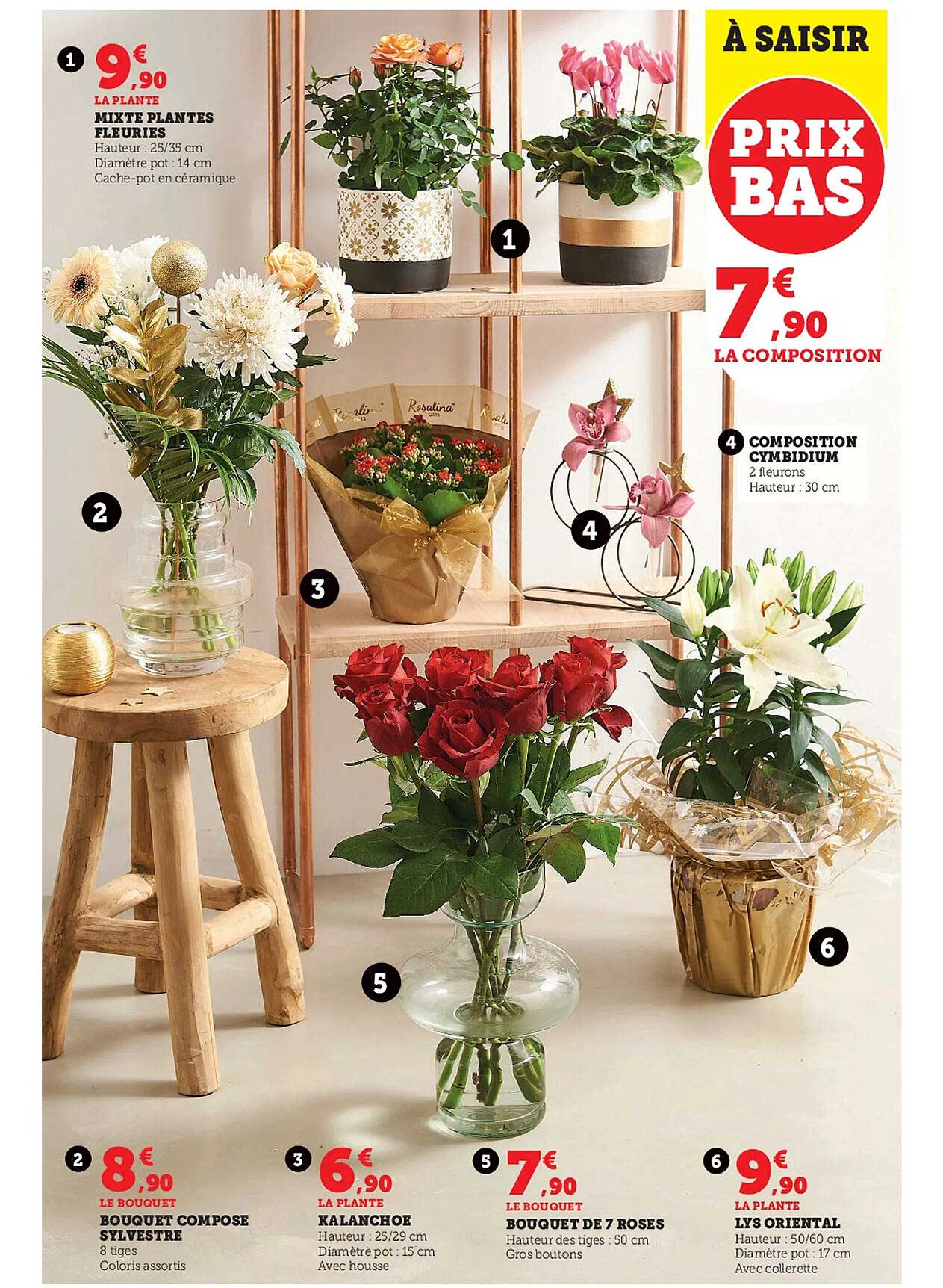 mixte plantes fleuries, composition cymbidium, bouquet composé sylvestre, kalanchoe, bouquet de 7 roses, lys oriental