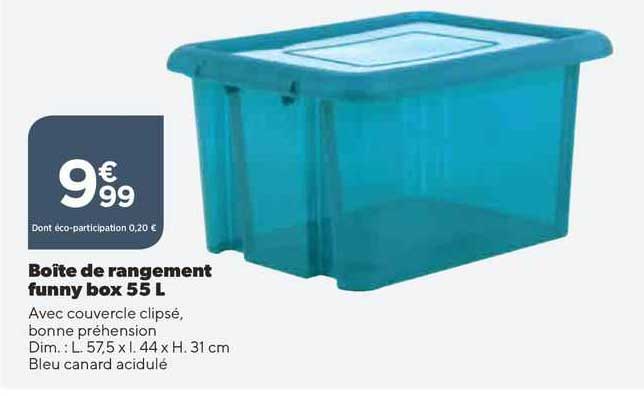 boîte de rangement funny box 55 l
