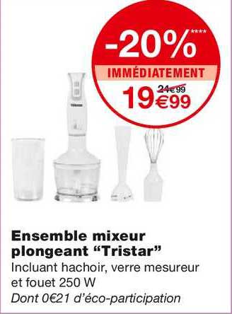 Ensemble Mixeur Plongeant "tristar"