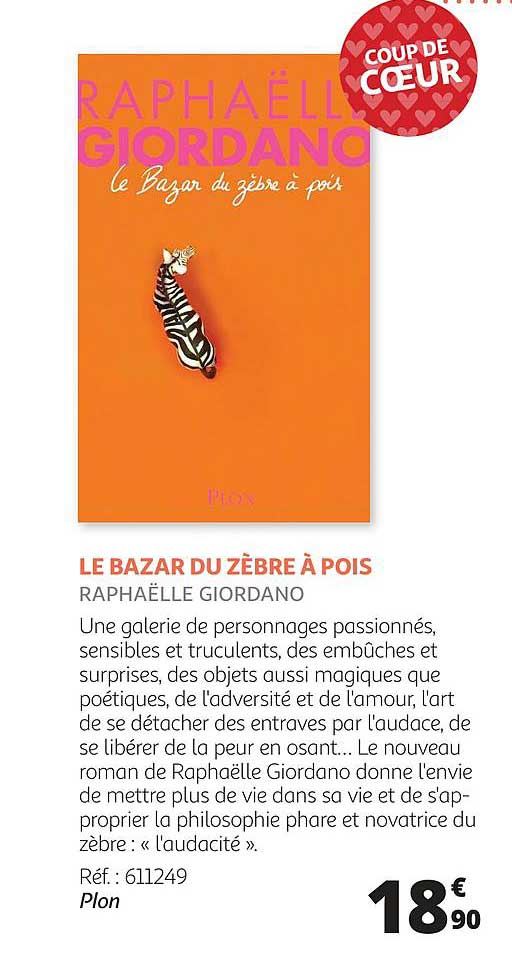 le bazar du zèbre à pois - raphaëlle giordano