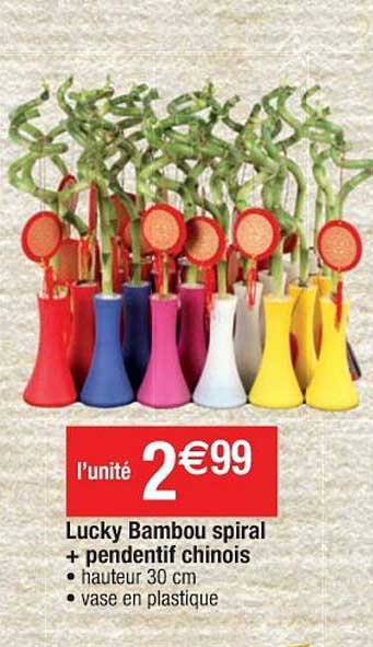 lucky bambou spiral + pendentif chinois