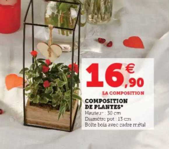 Composition De Plantes