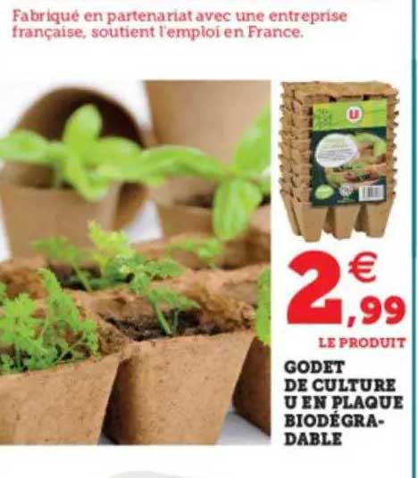 godet de culture u en plaque biodégradable