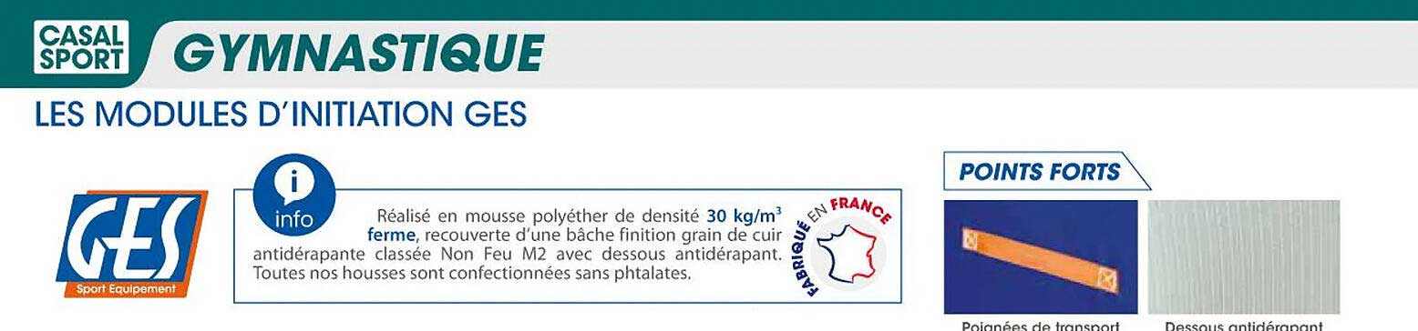 les modules d'initiation ges