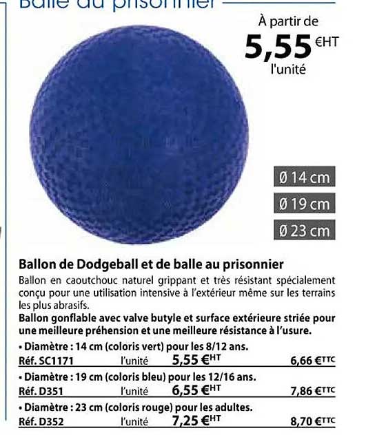 ballon de dodgeball et de balle au prisonnier