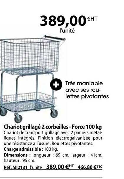 chariot grillagé 2 corbeilles - force 100 kg