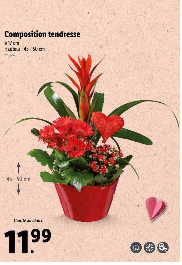 composition tendresse