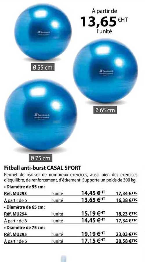 fitball anti-burst casal sport