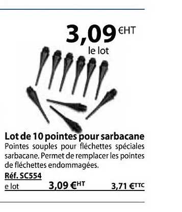lot de 10 pointes pour sarbacane