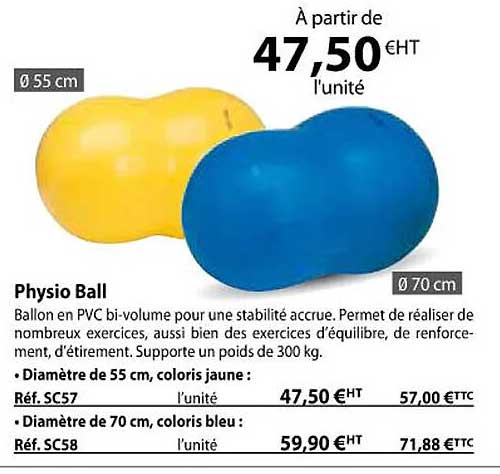 Physio Ball
