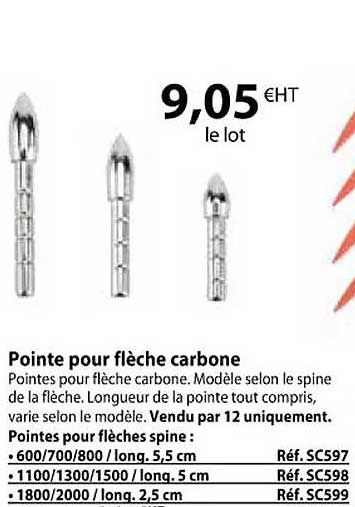 pointe pour flèche carbone