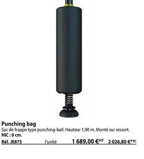 punching bag