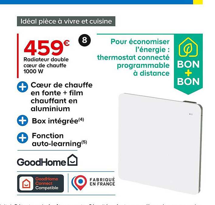 radiateur double cœur de chauffe 1000 w goodHome