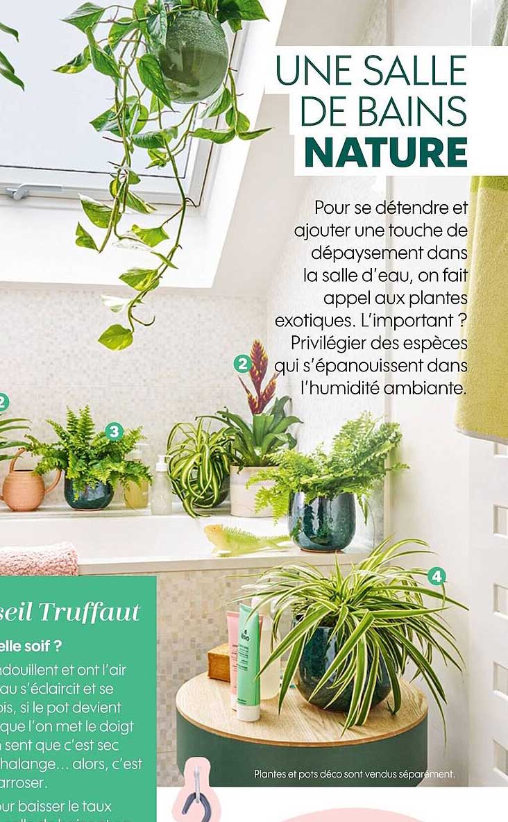 une salle de bains nature