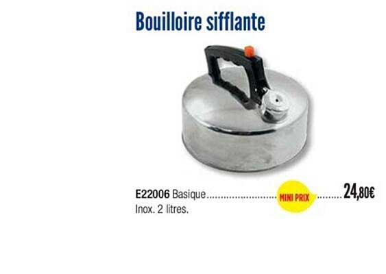 bouilloire sifflante e22006 basique