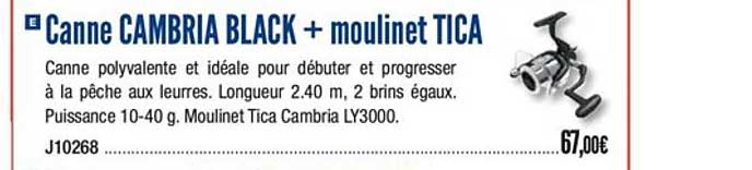 canne cambria black + moulinet tica