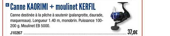 canne kaorimi + moulinet kerfil