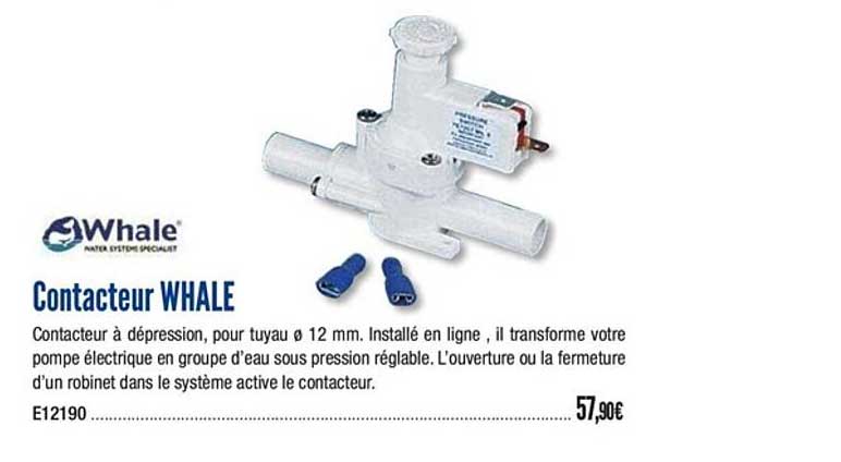 contacteur whale