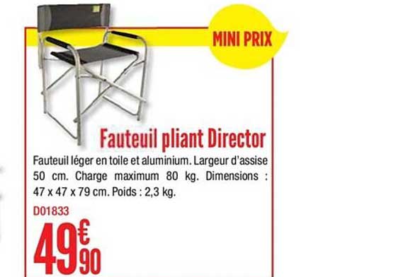 fauteuil pliant director