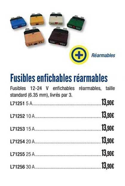 Fusibles Enfichables Réarmables