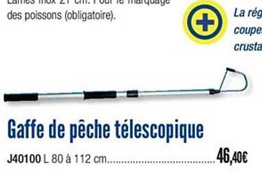 gaffe de pêche télescopique