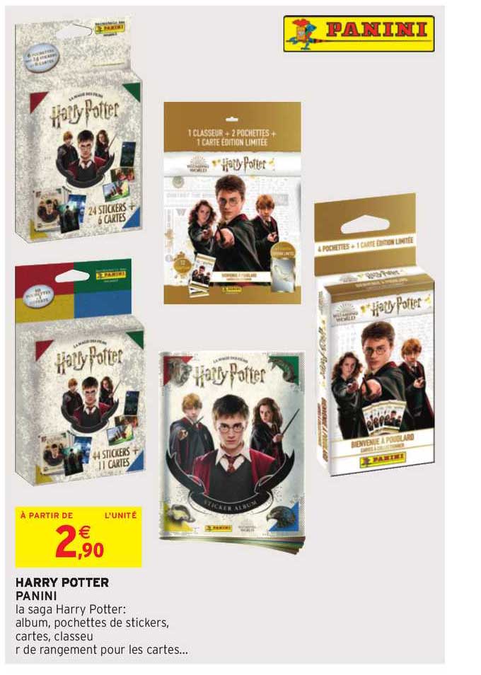 harry potter panini