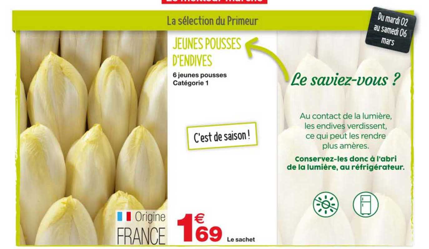 jeunes pousses d'endives