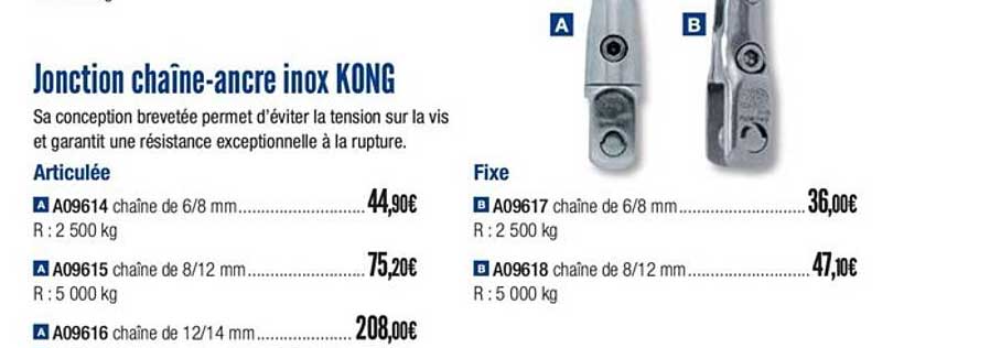 jonction chaîne ancre inox kong